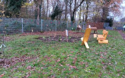 Erfolgreiche Erweiterung unseres Schulnaturgartens – Ein grünes Highlight für die ganze Schulgemeinschaft